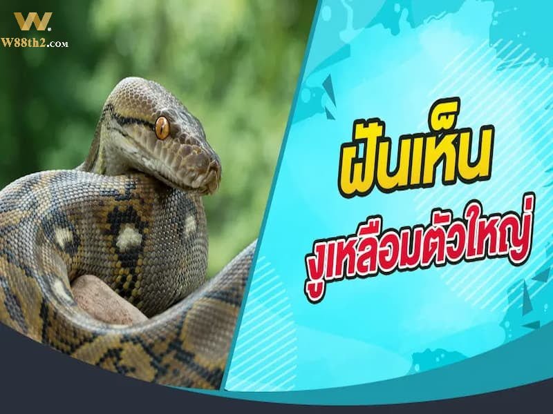 ฝันเห็นงูเหลือม ฝันถึงงูเหลือม - ฮวงจุ้ย